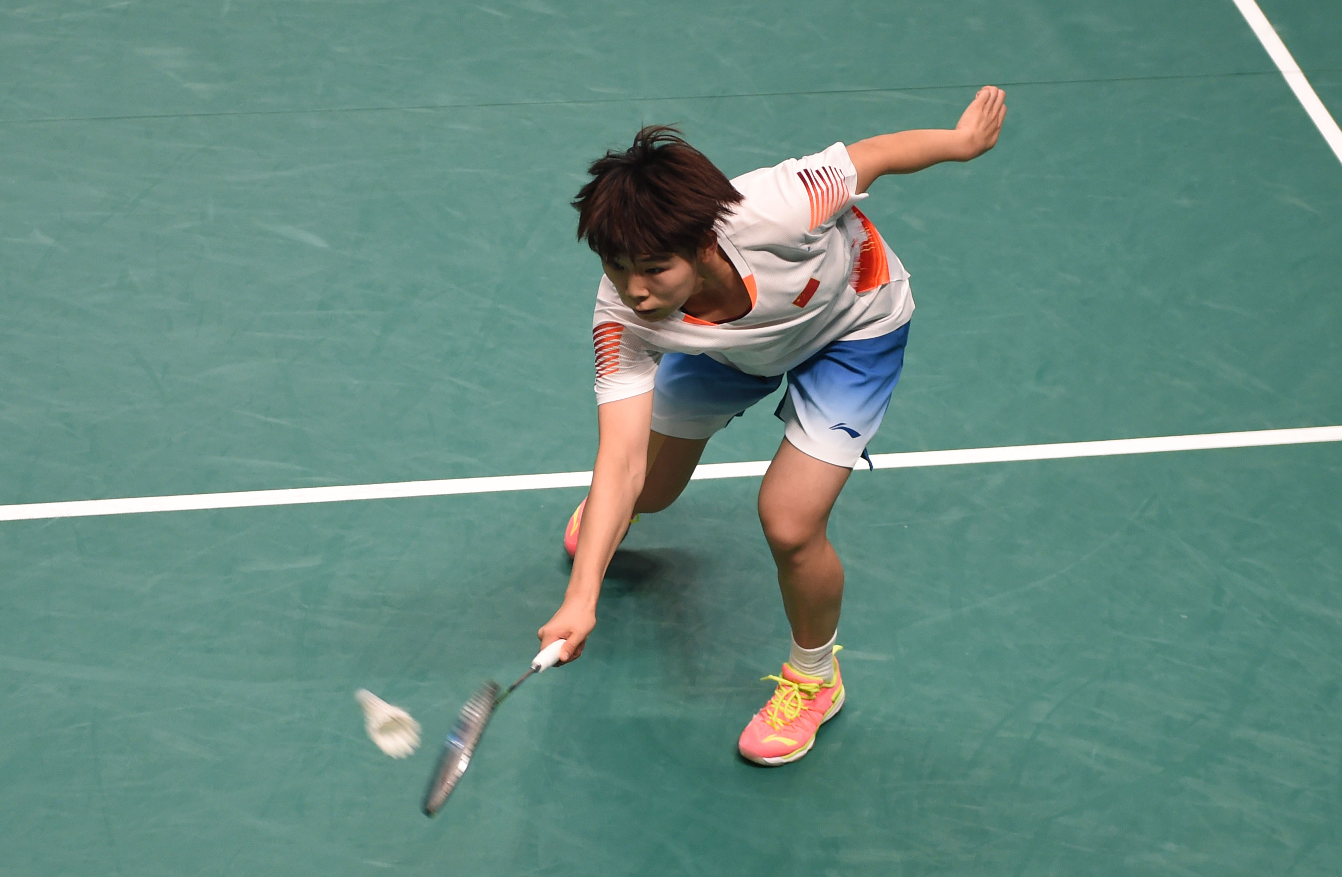 典型狮群的 典型狮群的